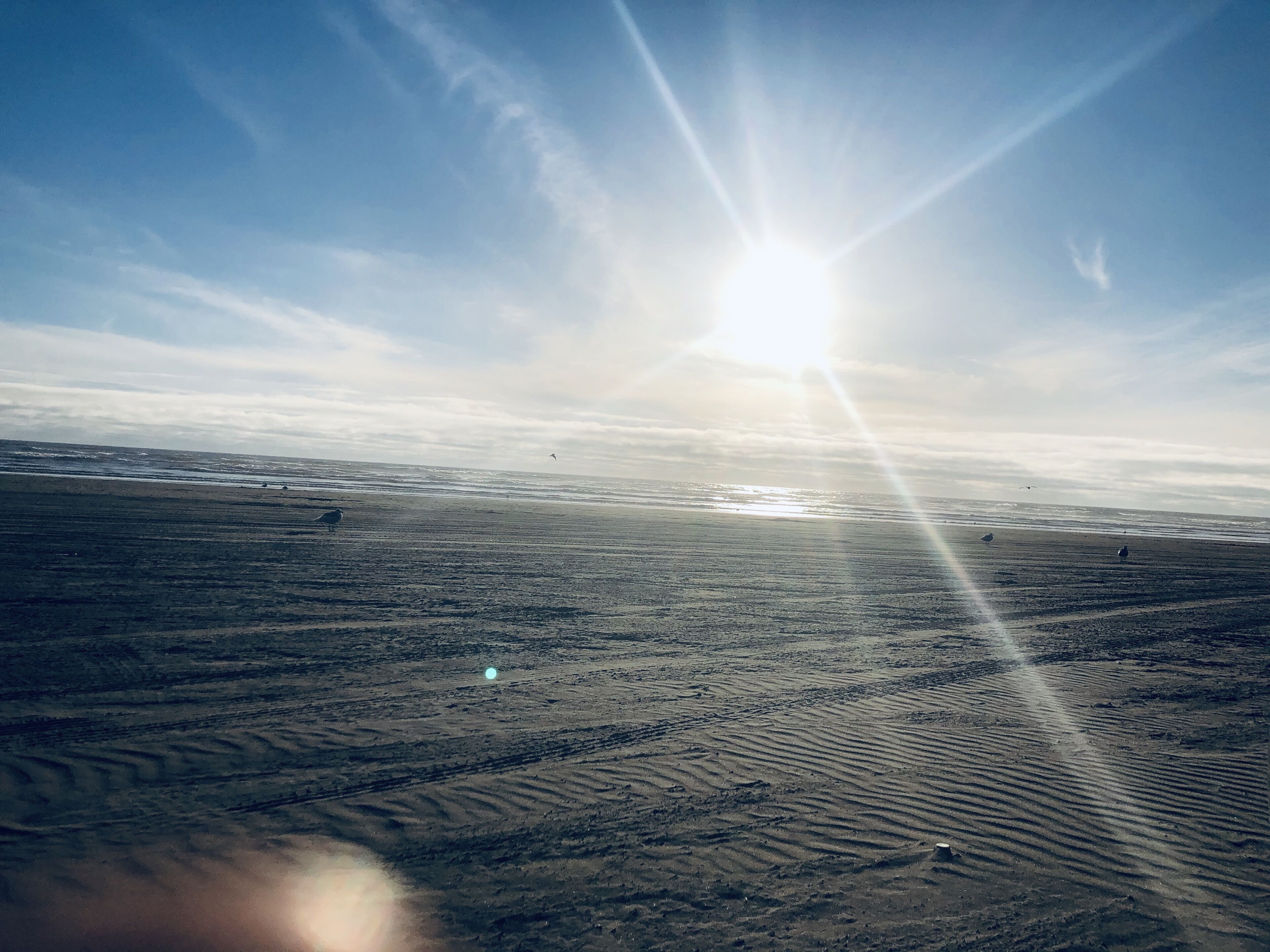 Vlak bij het strand