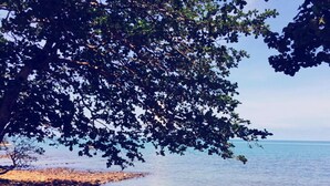 A beach with pebbles and a tree providing shade. - Koh Chang Privilege (Ko Chang)