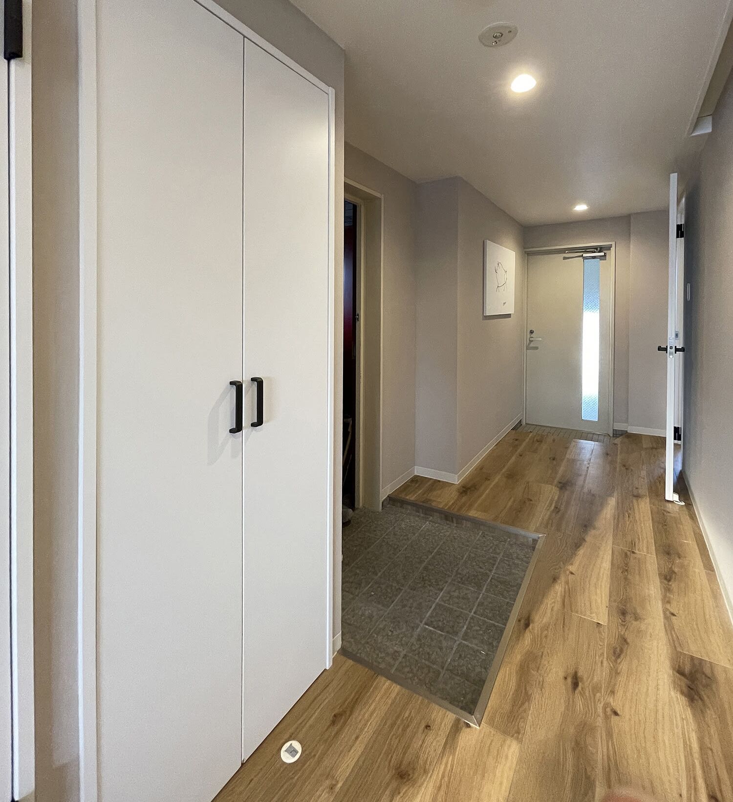 A hallway with wooden flooring, white doors, and a small rug.