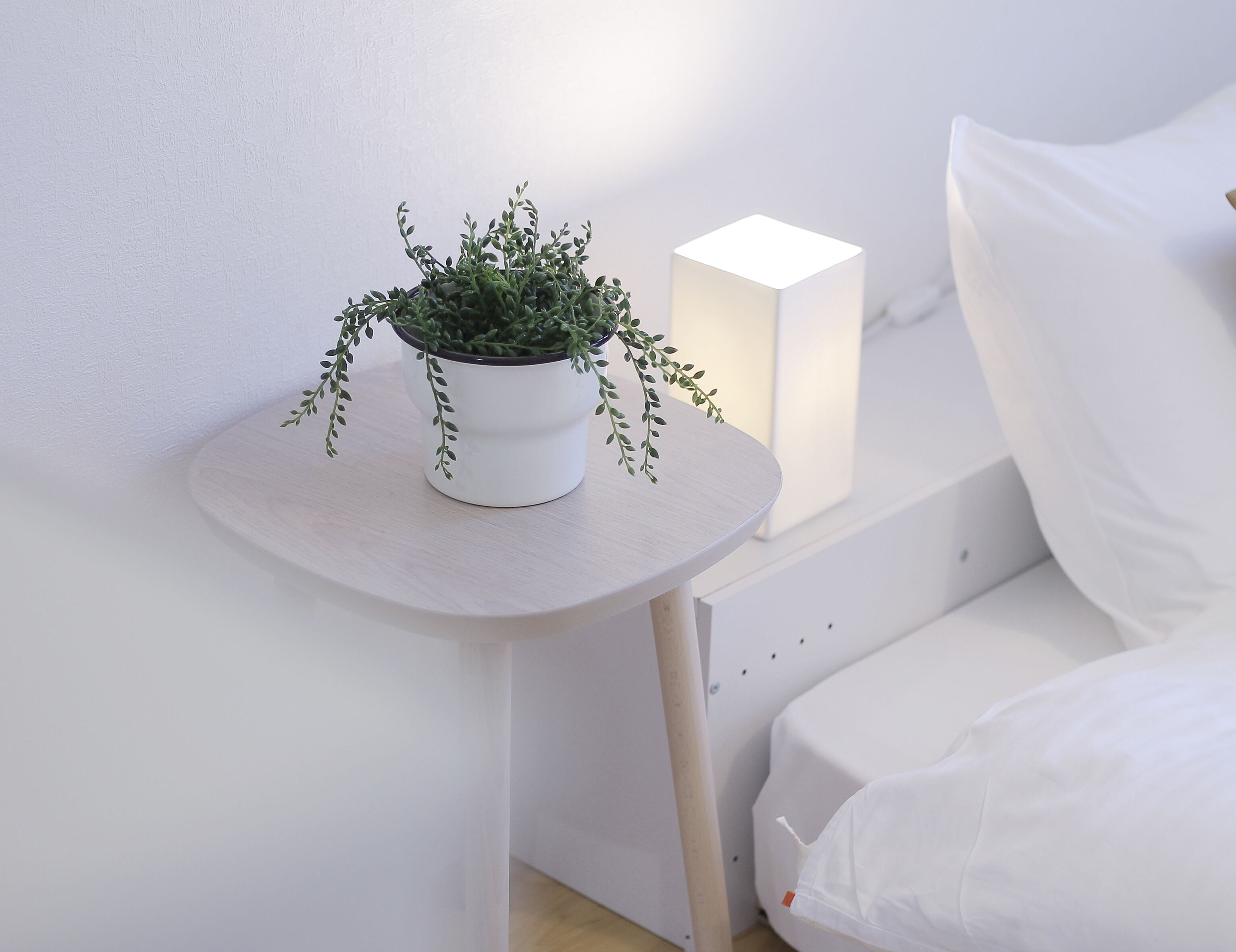 A bedside table with a potted plant and a bedside lamp.