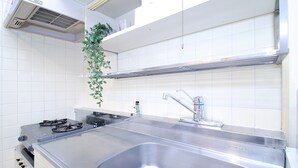Een moderne keuken met roestvrijstalen apparatuur, een dubbele spoelbak en een hangplant.