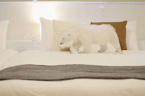 客室の設備とサービス