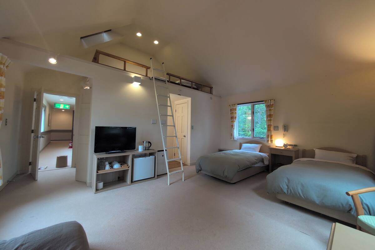 A bedroom with a TV, a ladder, a bed, a desk, and a window.