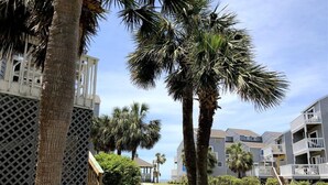Un sentiero conduce a un edificio con un recinto a traliccio, palme e cielo sereno.
