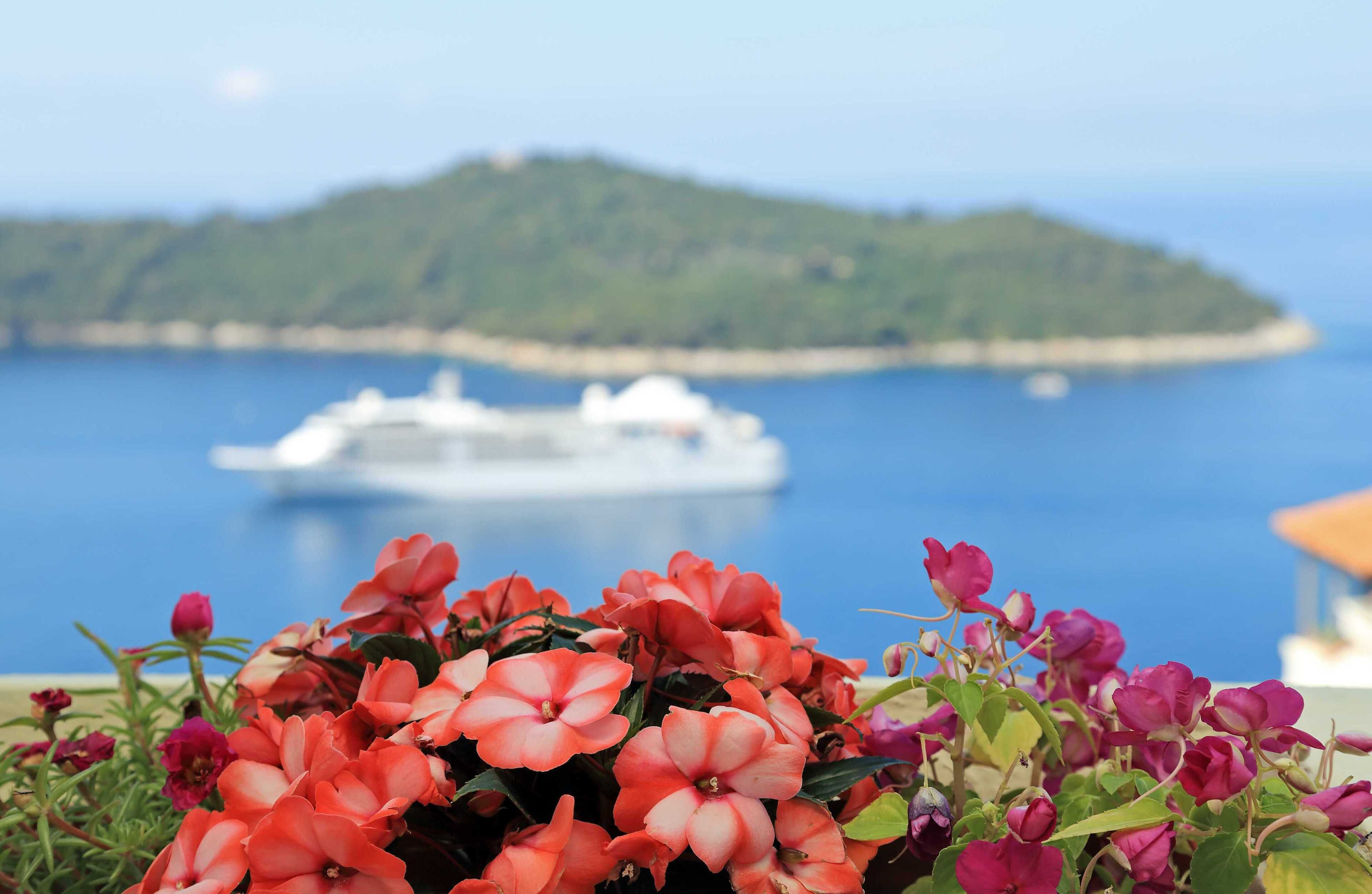 A coastal view with a ship in the distance and vibrant flowers in the foreground.