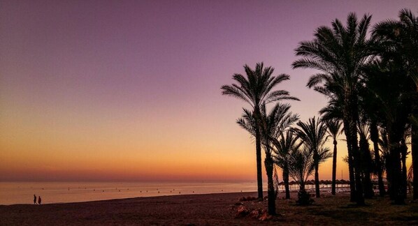 Beach