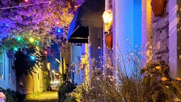 Une rue pavée bordée d’immeubles, décorée de guirlandes lumineuses et de plantes en pot.