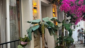 Un immeuble à la façade en pierre, un balcon orné de plantes en pot et une rue pavée.