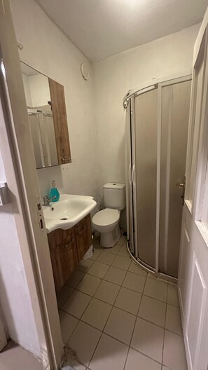 Une salle de bain avec un lavabo blanc, des toilettes et un espace douche.