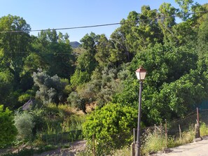 Property grounds - Rural house Majaceite (El Bosque)