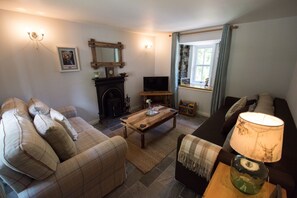 TV, fireplace, DVD player, books - Charming Waterside Cottage in the heart of Speyside (Glenlivet)