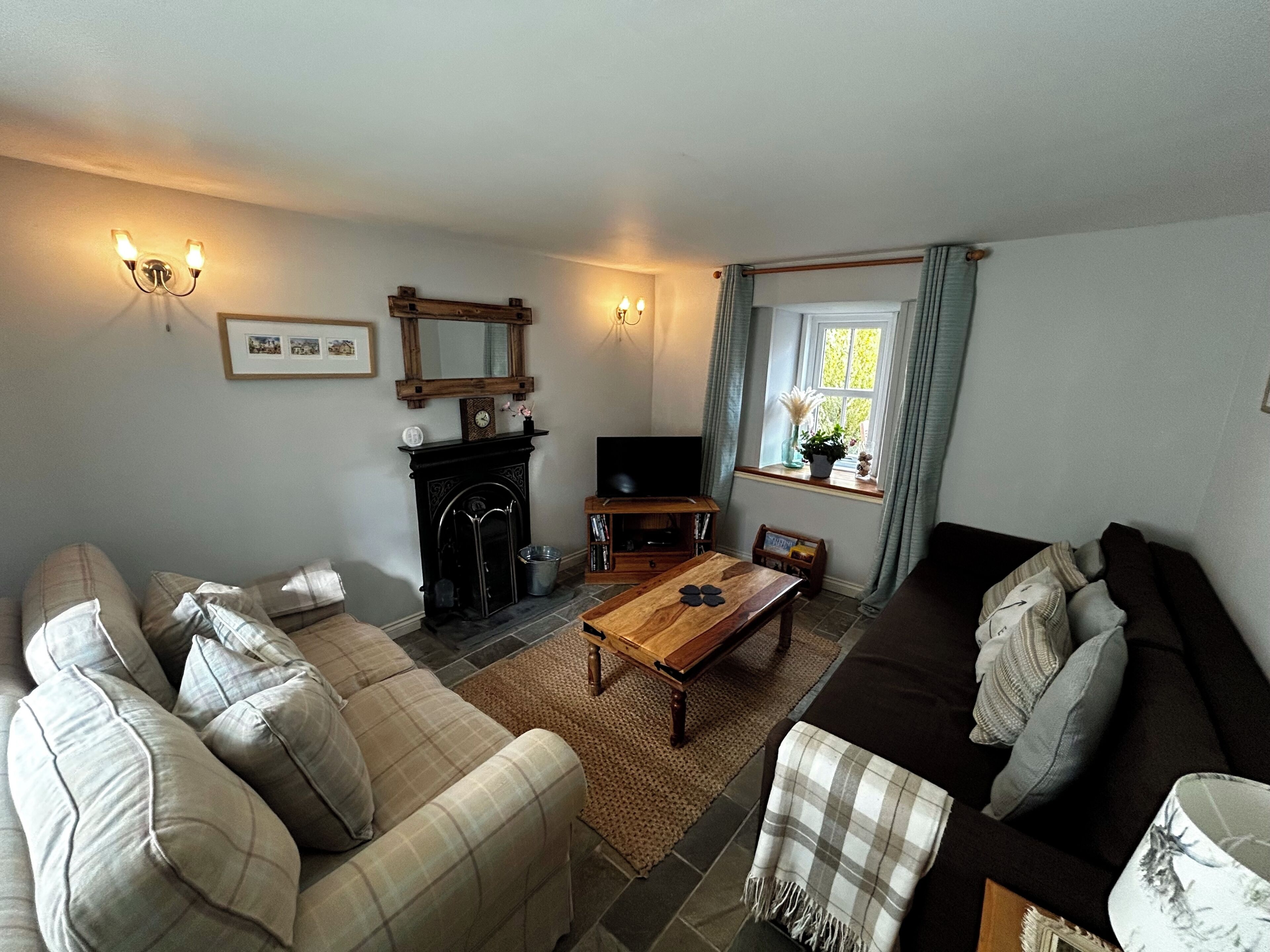 TV, fireplace, DVD player, books