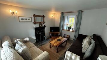 TV, fireplace, DVD player, books