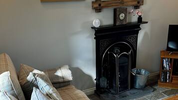 Télévision, cheminée, lecteur de DVD, livres