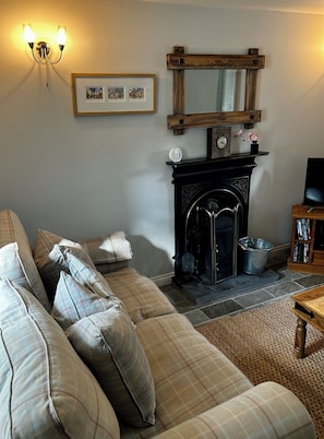 Televisión, chimenea, reproductor de DVD y libros