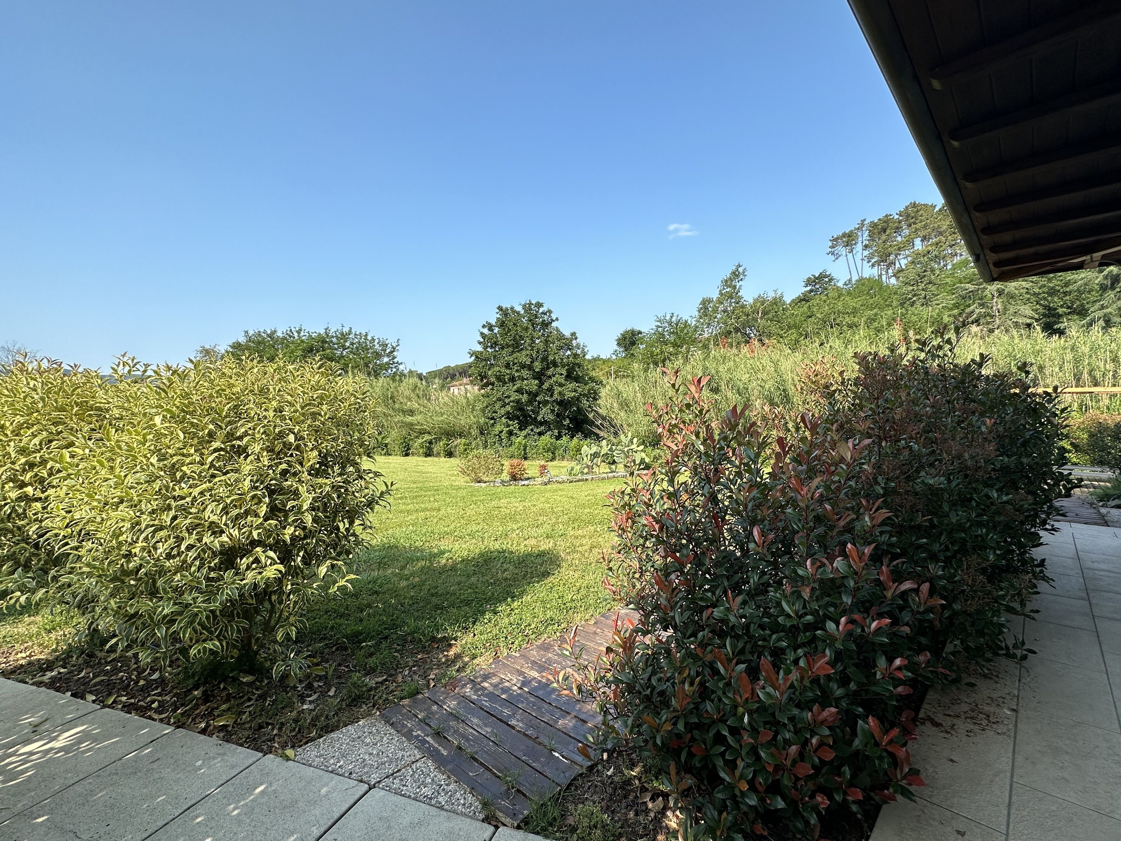 Un jardin doté d’une terrasse en bois, entouré de divers arbustes et d’une pelouse.