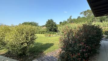 Un jardin doté d’une terrasse en bois, entouré de divers arbustes et d’une pelouse.
