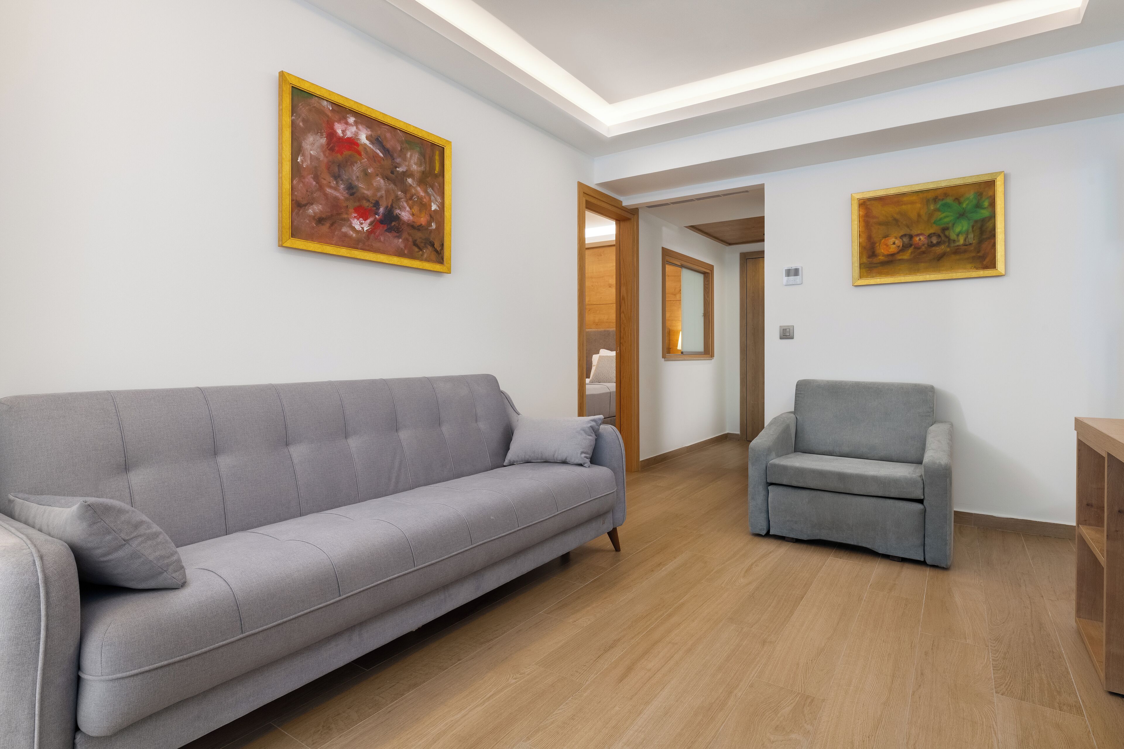 mini suite | living area | smart tv