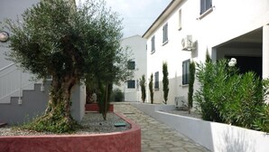 Un patio estrecho con un sendero de piedra, un árbol grande y edificios blancos con contraventanas.