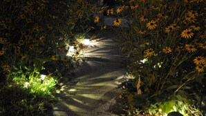 A narrow pathway surrounded by dense vegetation and flowers, illuminated by small lights.