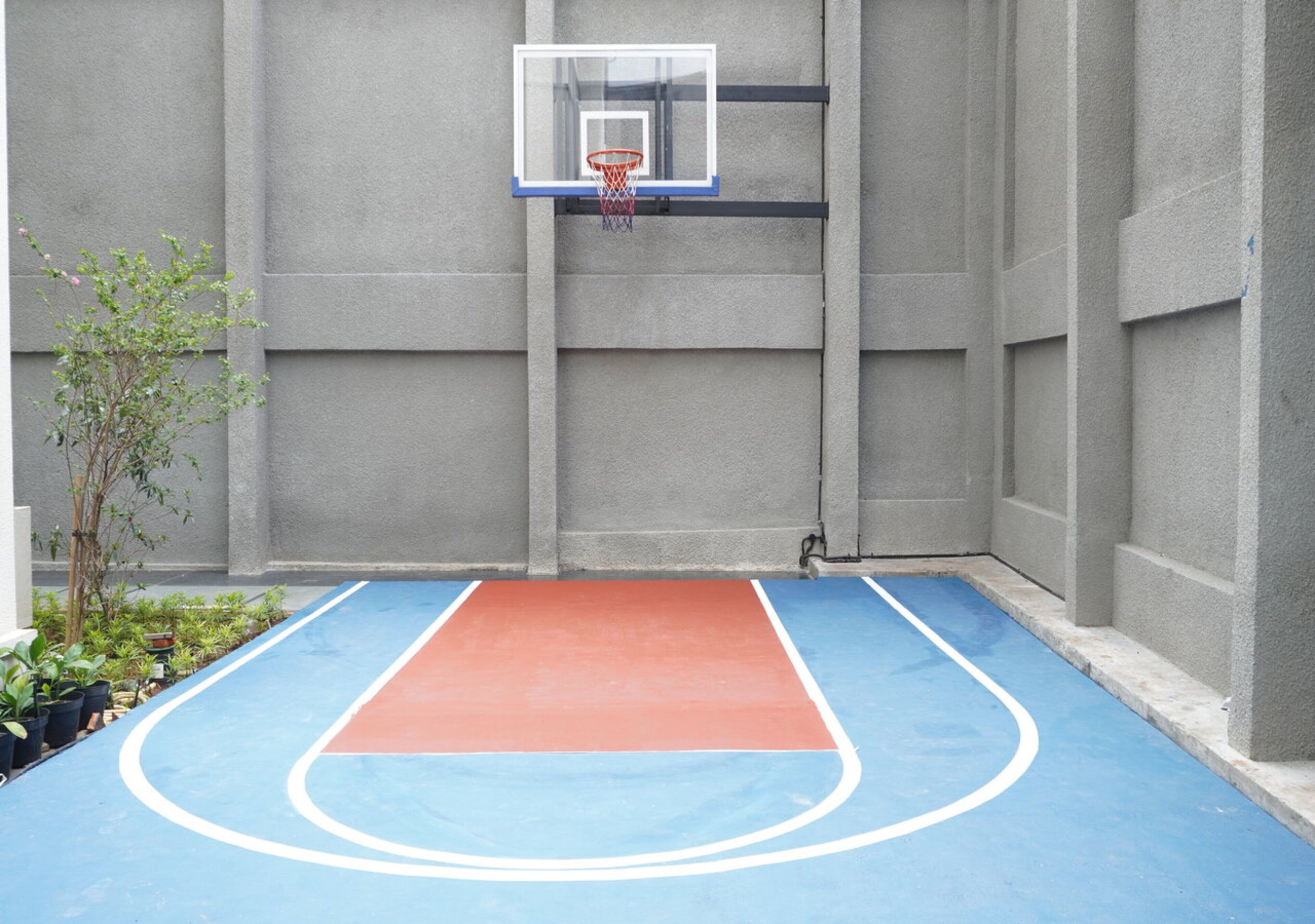 A basketball court with a hoop, surrounded by a grey wall and a small tree.