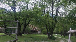 A fenced outdoor area with trees and a gravel path.
