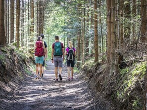 星評価なしの画像、2 / 10、ボタン