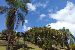 Garden - Pousada Barão do Javary (Miguel Pereira)