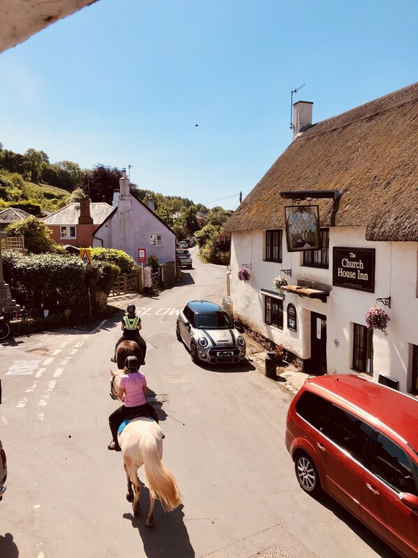 Terrain de l’hébergement 