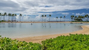 Una playa con palmeras, una orilla arenosa y un cuerpo de agua tranquilo.