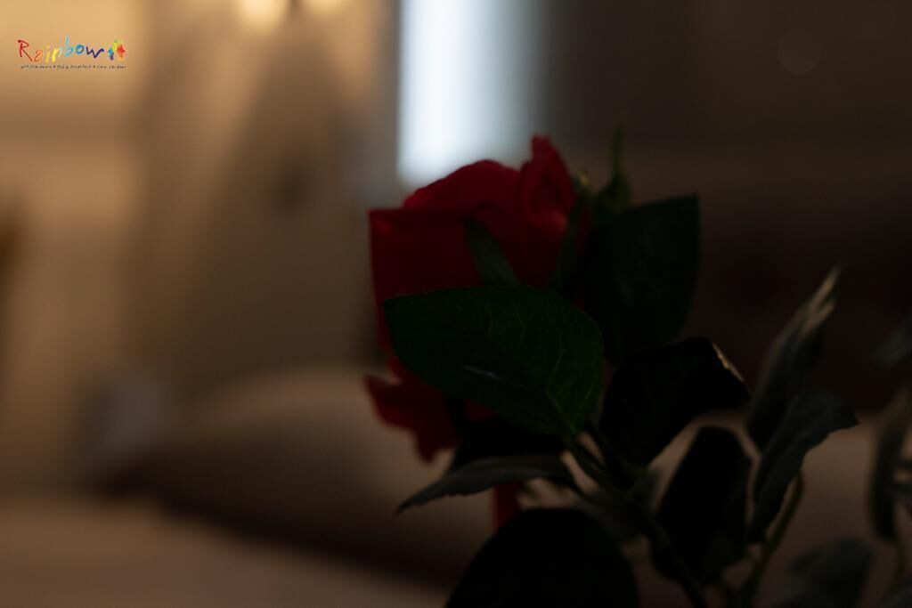 Foto - Residenza Montenevoso