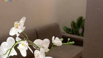 A white orchid branch in a room with a brown couch and a green plant in the background.