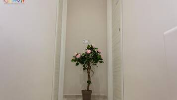 Ingresso interno