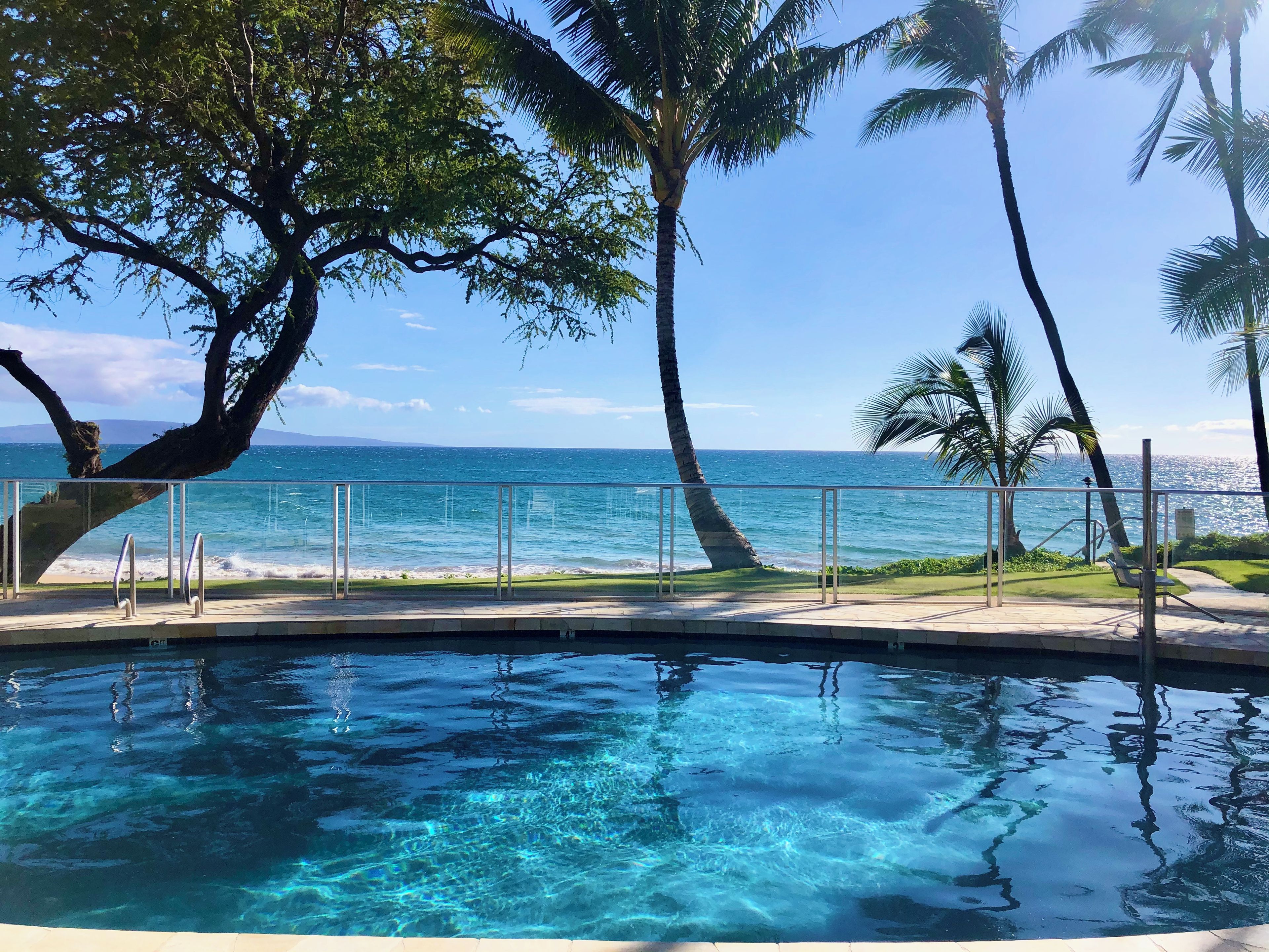 A clear blue pool with a view of the ocean and palm trees.