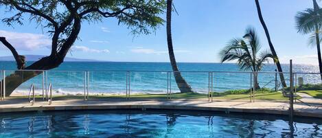 A clear blue pool with a view of the ocean and palm trees.