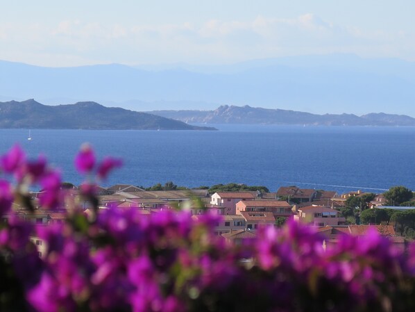 星評価なしの画像、1 / 20、ボタン