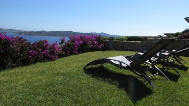 A grassy area with lounge chairs and purple flowers.
