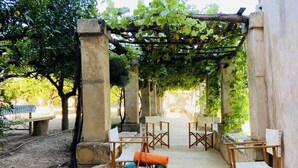 Un espacio de estar al aire libre con sillas de madera y una pérgola cubierta de hiedra.
