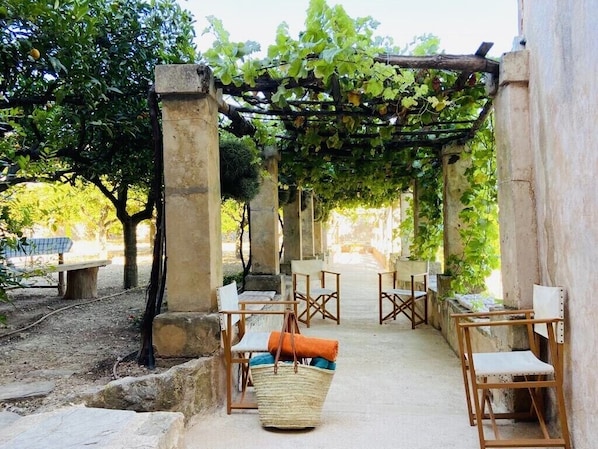 An outdoor seating area with wooden chairs and a pergola covered with vines. - Es Tarongers de Bunyola, Serra de Tramuntana (Bunyola)