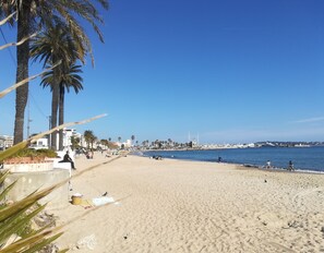 A beach with palm trees, a sandy shore, and a clear blue sky.