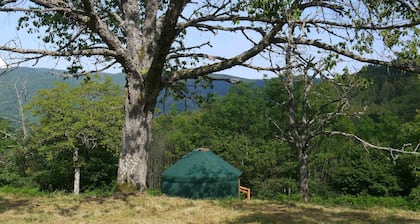 Calm and cocooning, the Yourte Coquelicot in Auvergne
