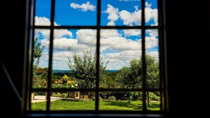 Una ventana con vistas a un paisaje verde, árboles y un cielo azul despejado con nubes.