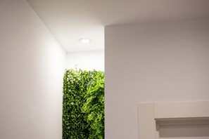 32-inch Smart TV with digital channels, TV