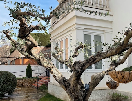 El jardí de l'avet