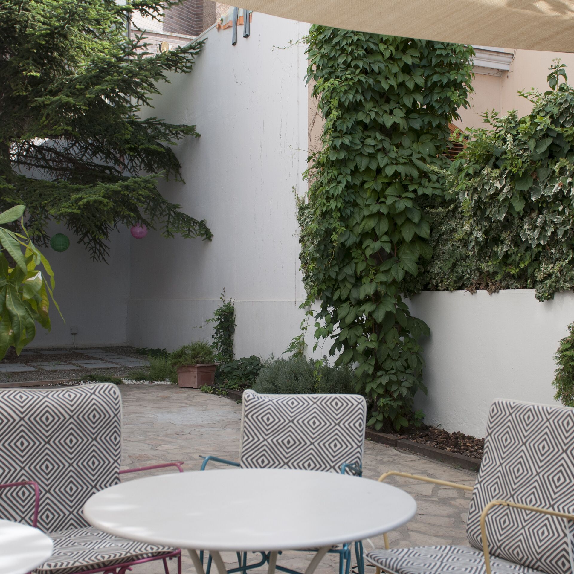 Foto - El jardí de l'avet