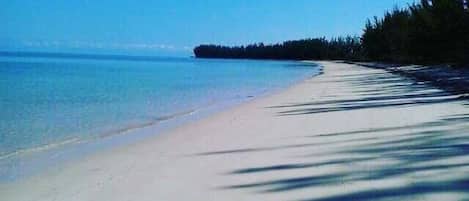 Playa en los alrededores