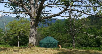 Calm and cocooning, the Fuschia Yurt
