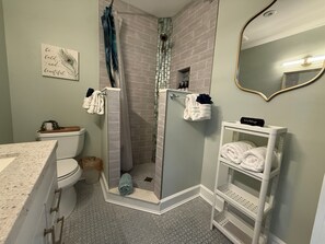 Shower, hair dryer, towels