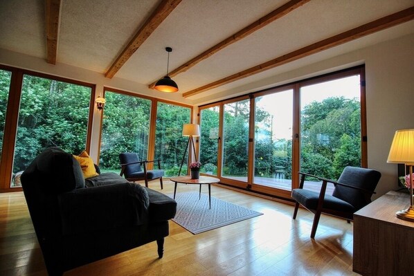 TV, caminetto, tavolo da ping pong, libri