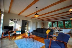 Fernseher, Kamin, Tischtennisplatte, Bücher